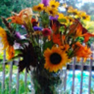 Meet your Posher, Tracey